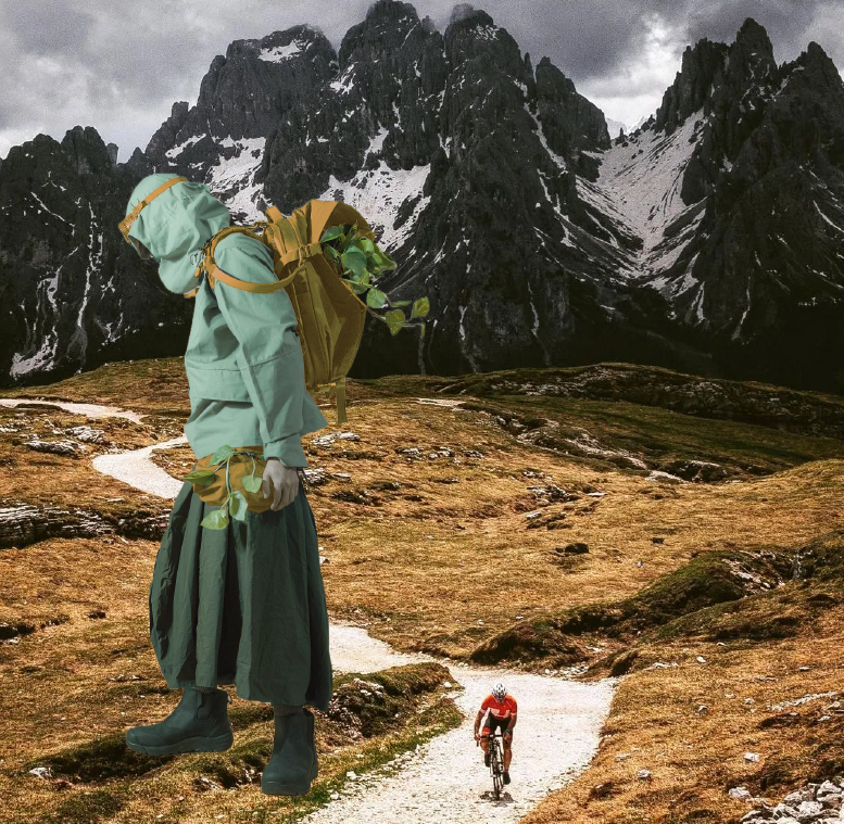 苏州瑞帝卡国际贸易有限公司