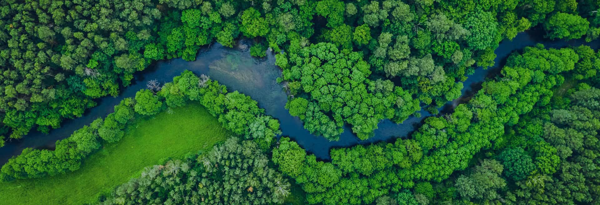 苏州瑞帝卡国际贸易有限公司