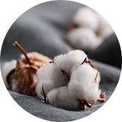 苏州瑞帝卡国际贸易有限公司