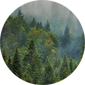 苏州瑞帝卡国际贸易有限公司