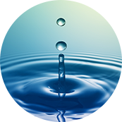 苏州瑞帝卡国际贸易有限公司